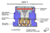 GUV-7.jpg